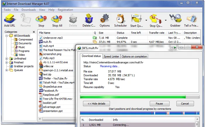 Best Internet Video Downloaders IDM