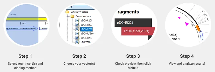 3 Automatic Virtual Cloning