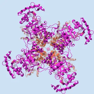 3D Molecule Viewer